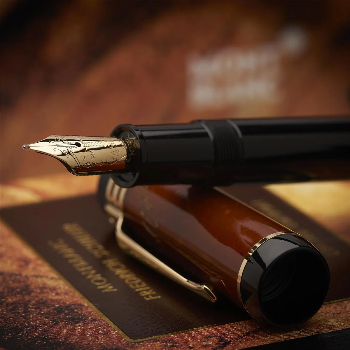 Montblanc Writers Edition von 2000 Friedrich Schiller Füller ID 28662 mit OVP - Image 7